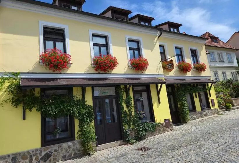 بنسيون Grand Vltavín