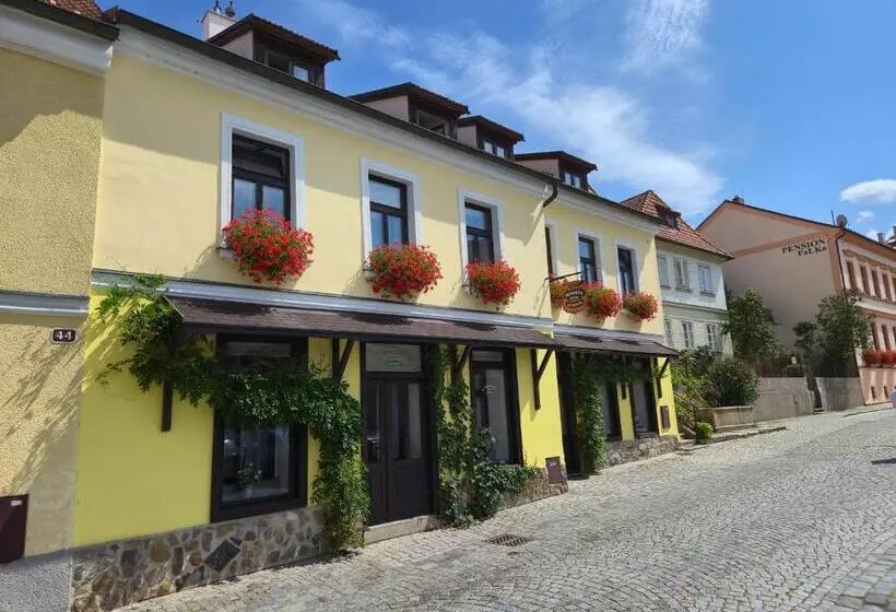 بنسيون Grand Vltavín