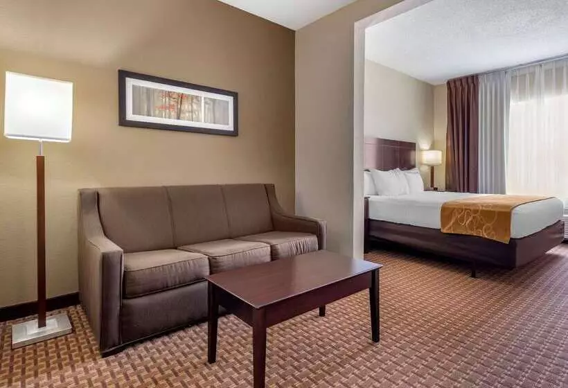 酒店 Comfort Suites