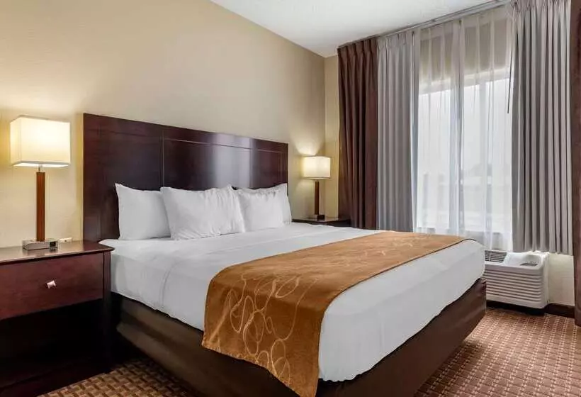 酒店 Comfort Suites