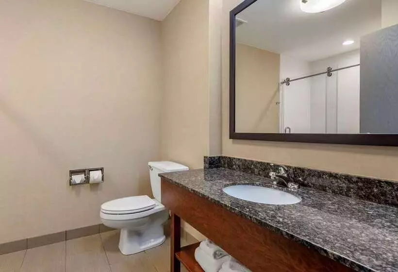 酒店 Comfort Suites