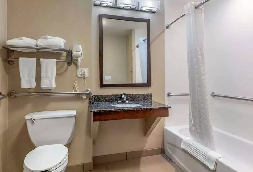 酒店 Comfort Suites