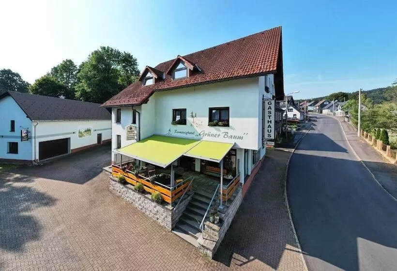 Rennsteighotel Grüner Baum