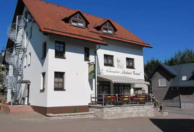 Rennsteighotel Grüner Baum