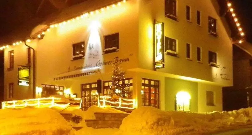 Rennsteighotel Grüner Baum