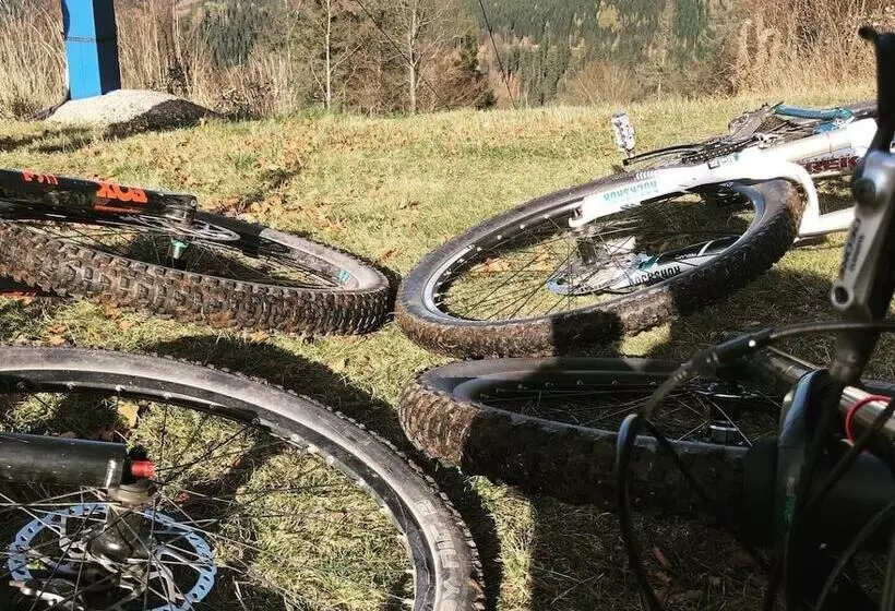 Rennsteighotel Grüner Baum