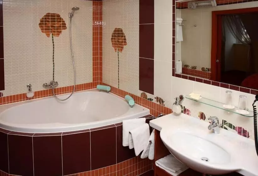 酒店 česká Koruna