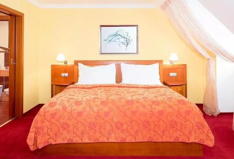 酒店 česká Koruna