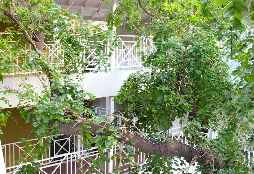 هتل Altamont Court