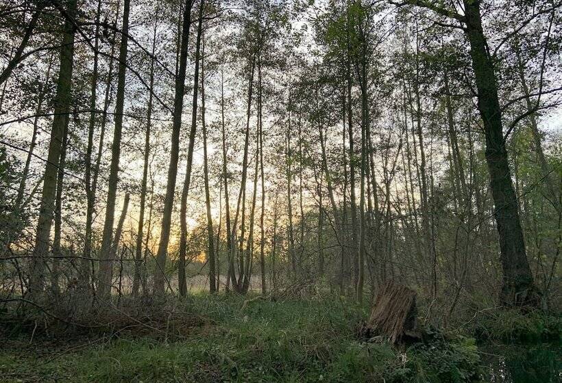 Lindner Hotel Cottbus