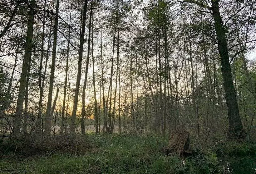 Lindner Hotel Cottbus