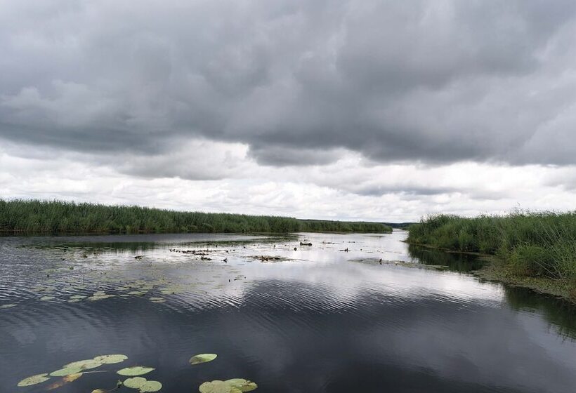 Seminaris Hotel Bad Boll