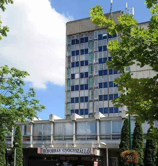 Hoforras Gyogyhotel