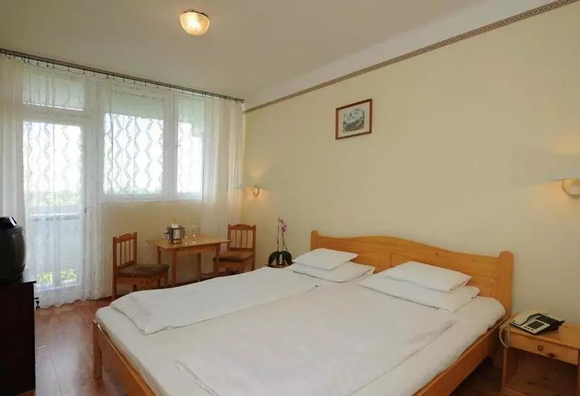 Hoforras Gyogyhotel