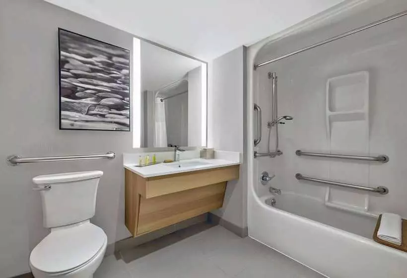 호텔 Doubletree By Hilton Davenport