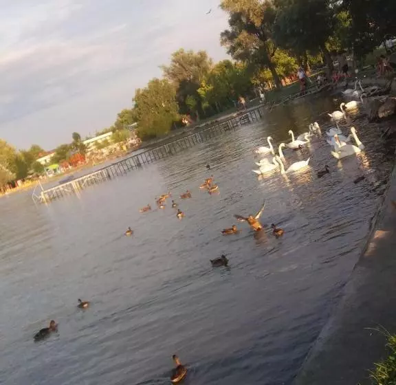 酒店 Grand Tiffany