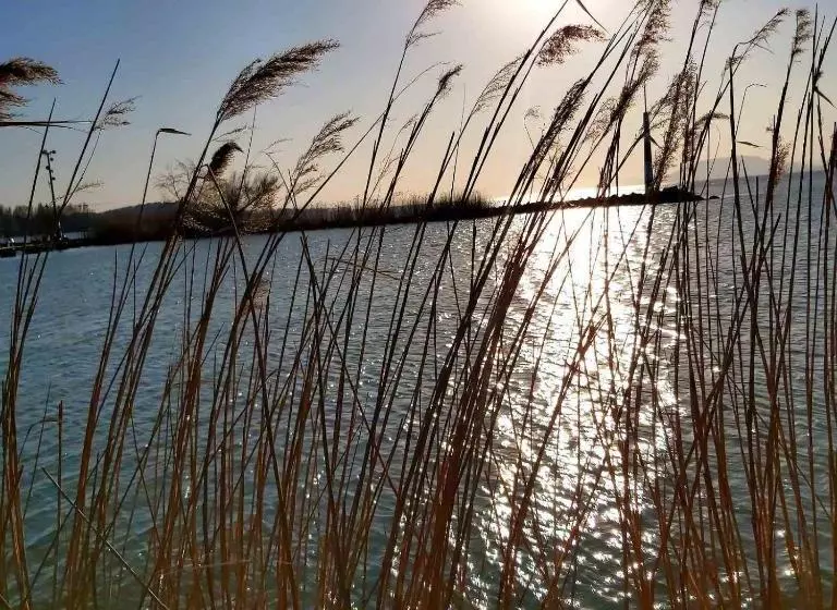 酒店 Grand Tiffany