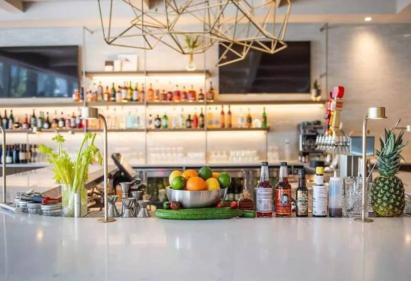 هتل Theo New Orleans, Tapestry Collection By Hilton