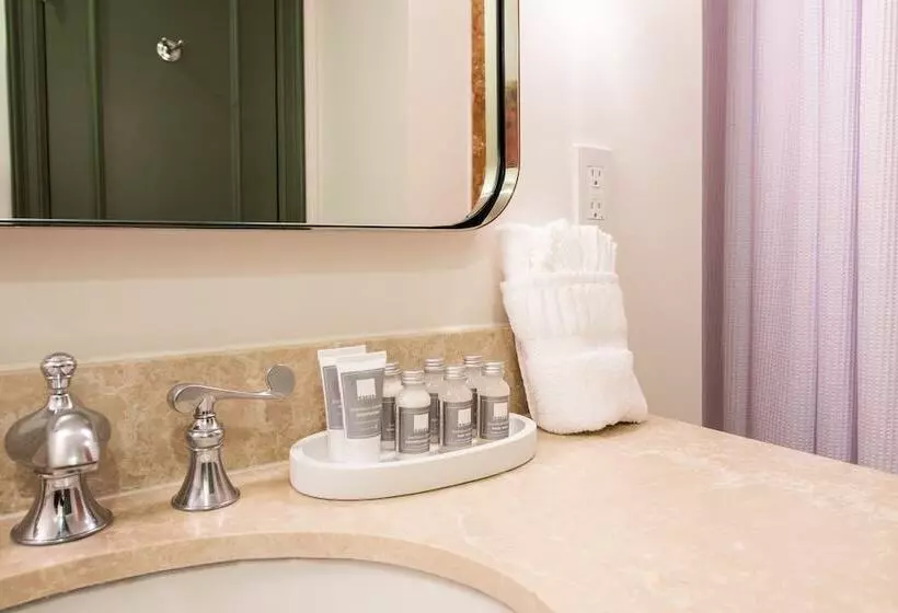 هتل Theo New Orleans, Tapestry Collection By Hilton