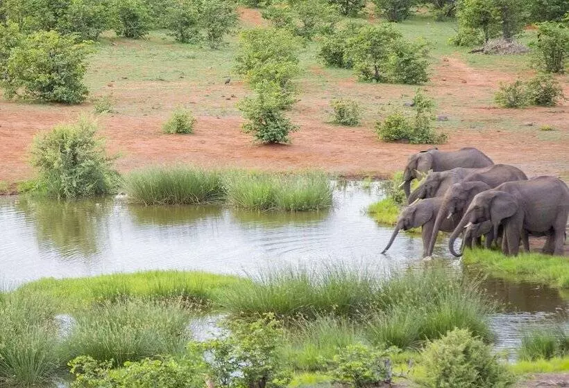 هتل Victoria Falls Safari Lodge