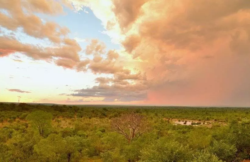 هتل Victoria Falls Safari Lodge