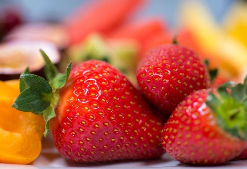 호텔 Arcoona Manor