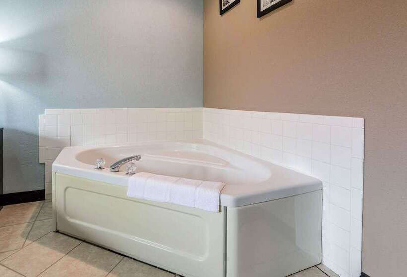 فندق Rodeway Inn