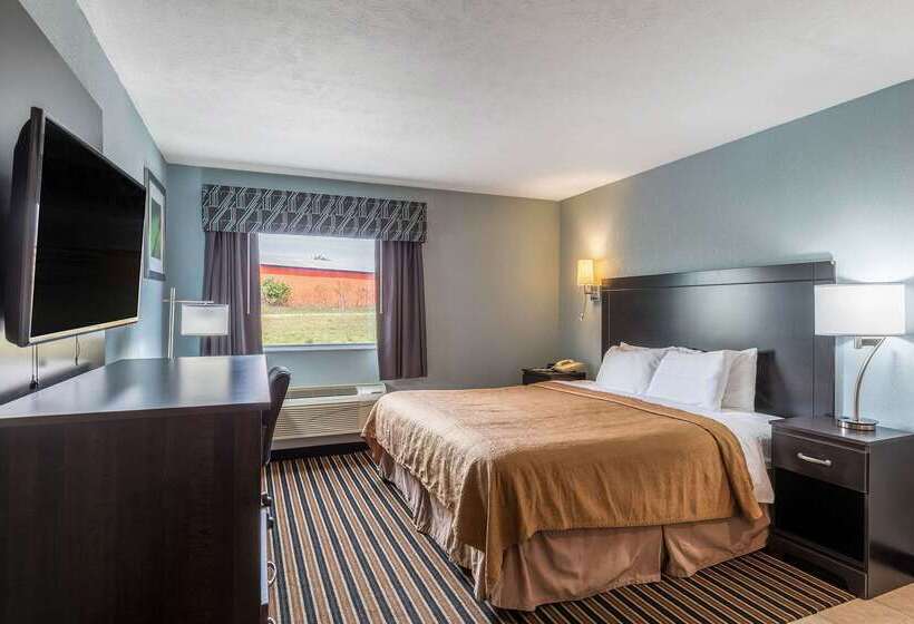 فندق Rodeway Inn