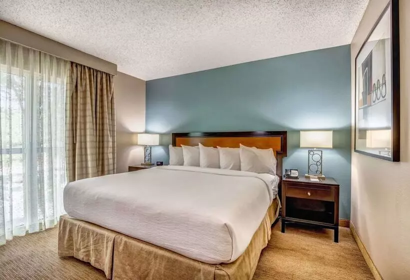 酒店 Embassy Suites By Hilton Memphis East Germantown Area