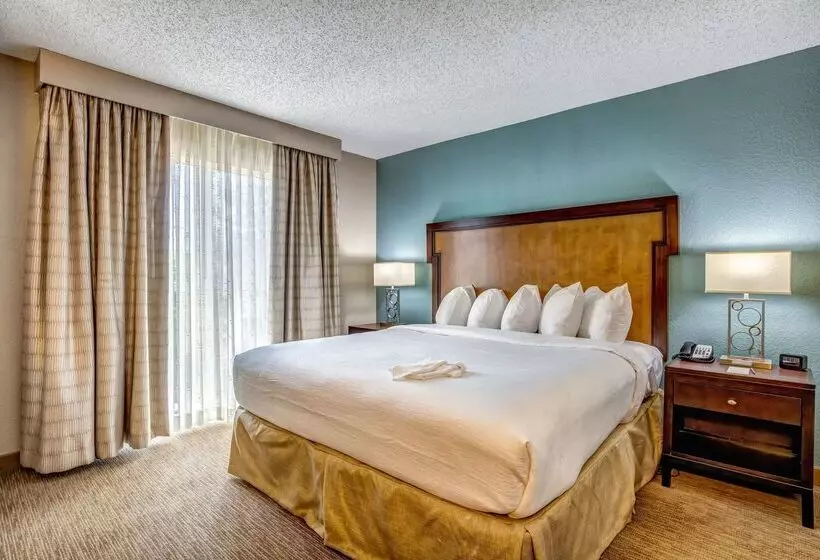 酒店 Embassy Suites By Hilton Memphis East Germantown Area