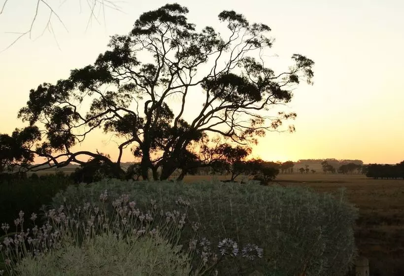 酒店 Quamby Homestead