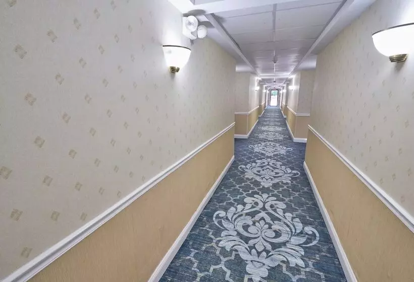 فندق Ambassador Inn And Suites