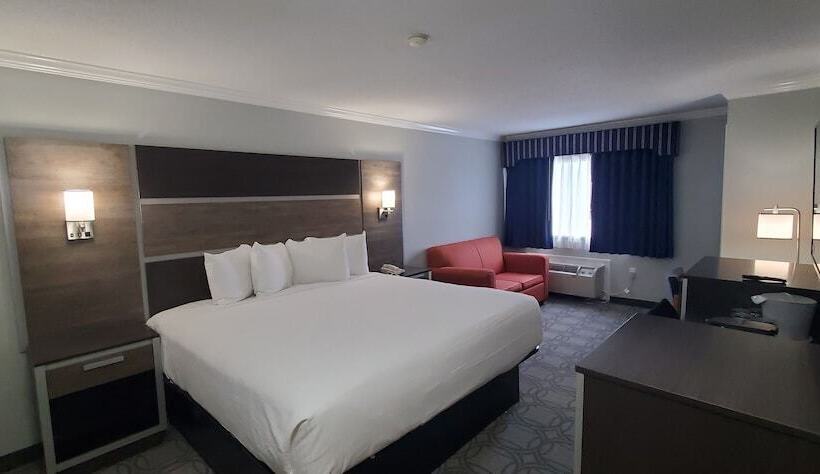 酒店 Ambassador Inn And Suites