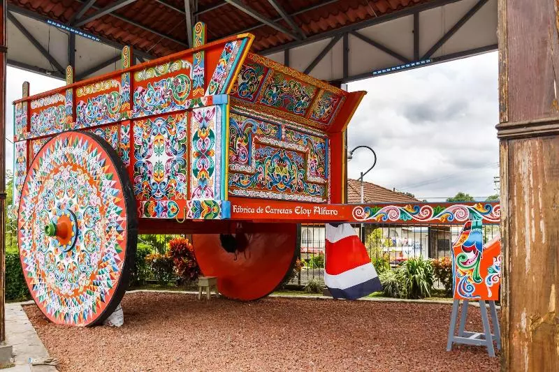 هتل Buena Vista Chic