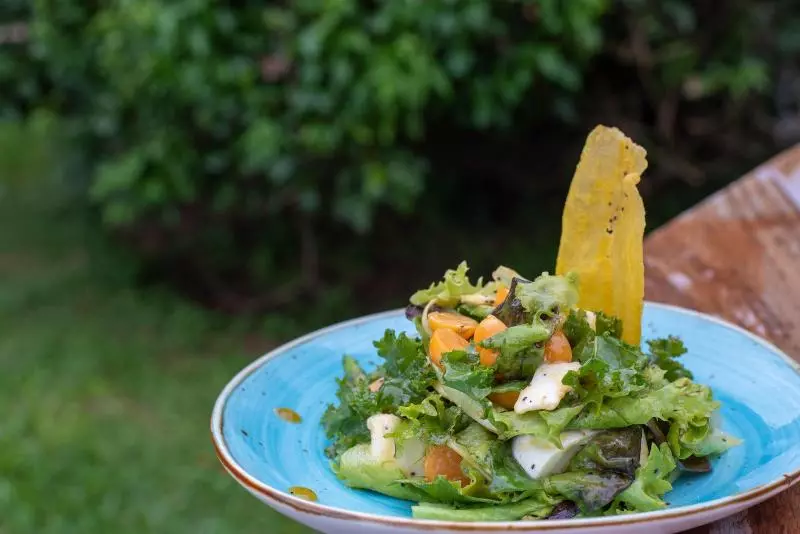 هتل Buena Vista Chic