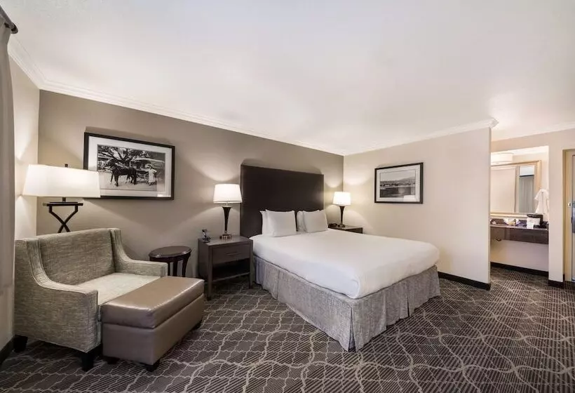 فندق Best Western Danville Sycamore Inn