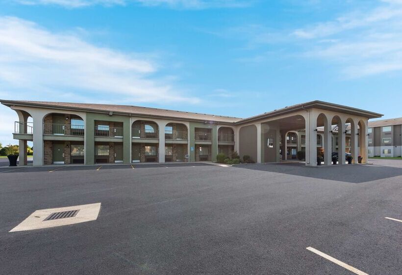 فندق Best Western Executive Inn