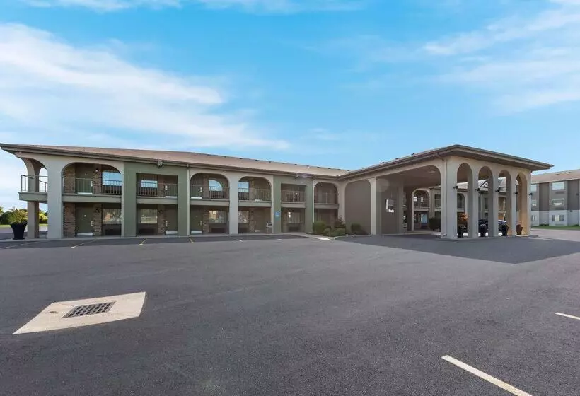 ホテル Best Western Executive Inn