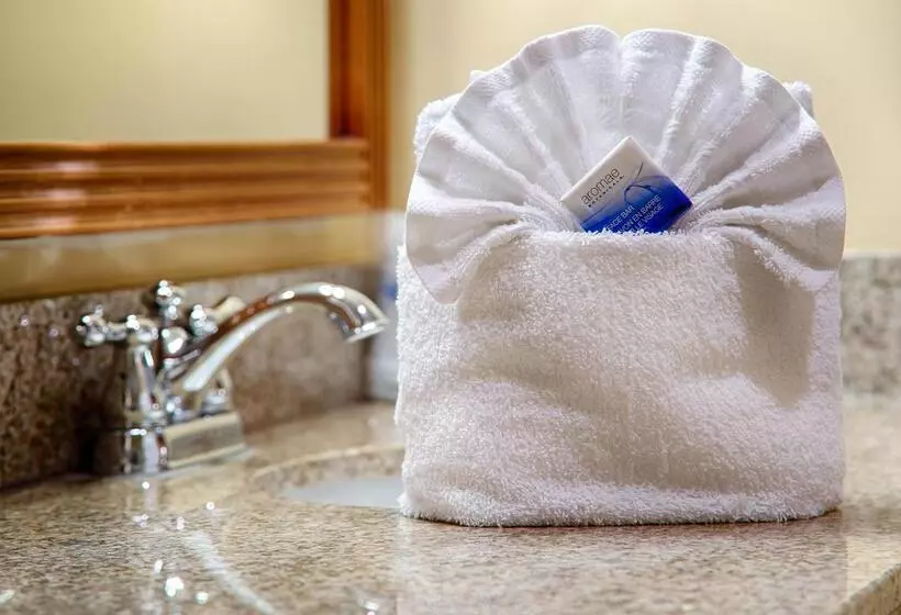 Best Western Plus Deerfield Beach Hotel & Suites