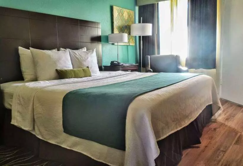 Best Western Plus Deerfield Beach Hotel & Suites