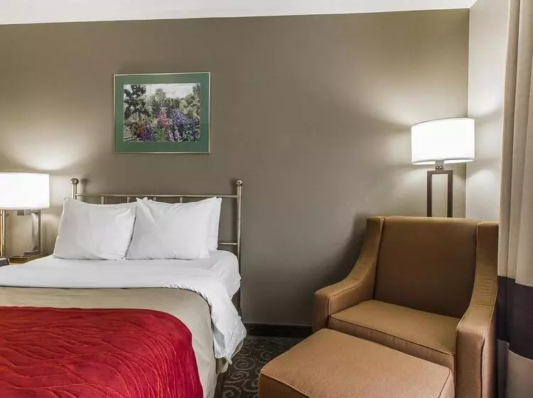 Отель Comfort Inn Brunswick