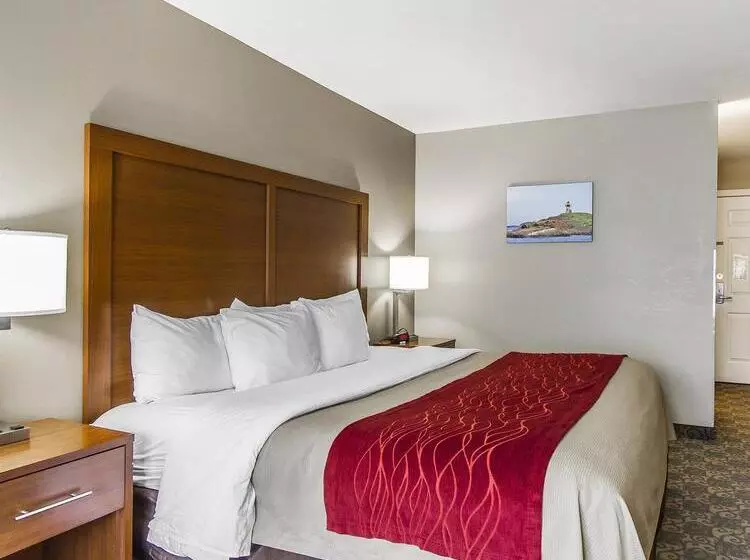 Отель Comfort Inn Brunswick