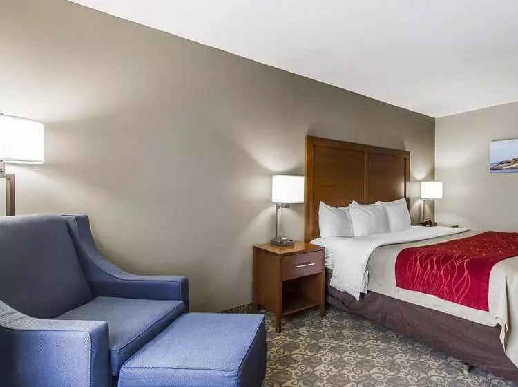 Отель Comfort Inn Brunswick