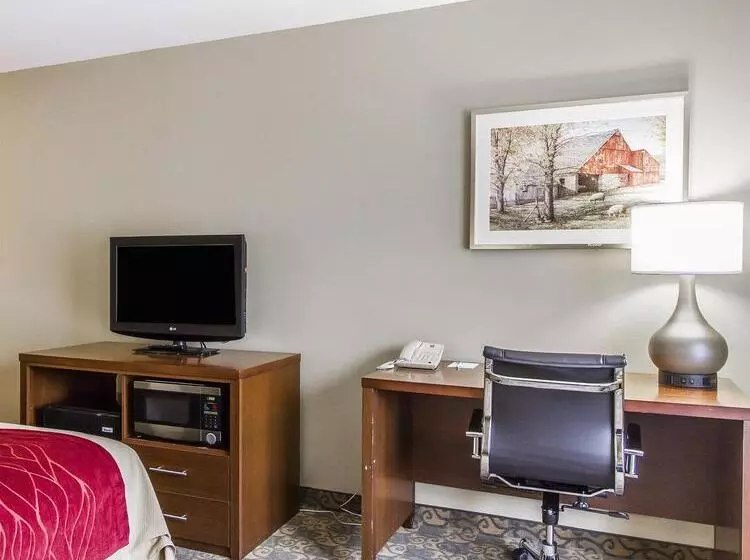 Отель Comfort Inn Brunswick