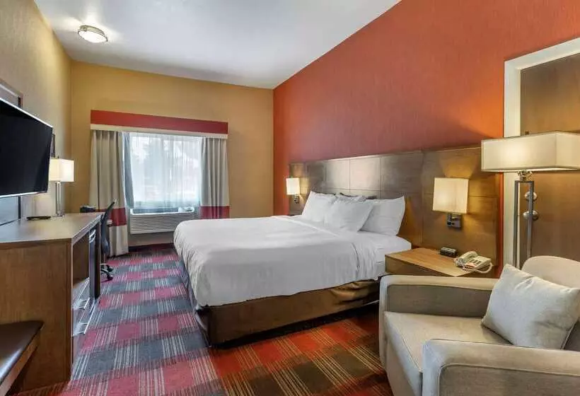 酒店 Comfort Inn Flagstaff Lucky Lane I 40