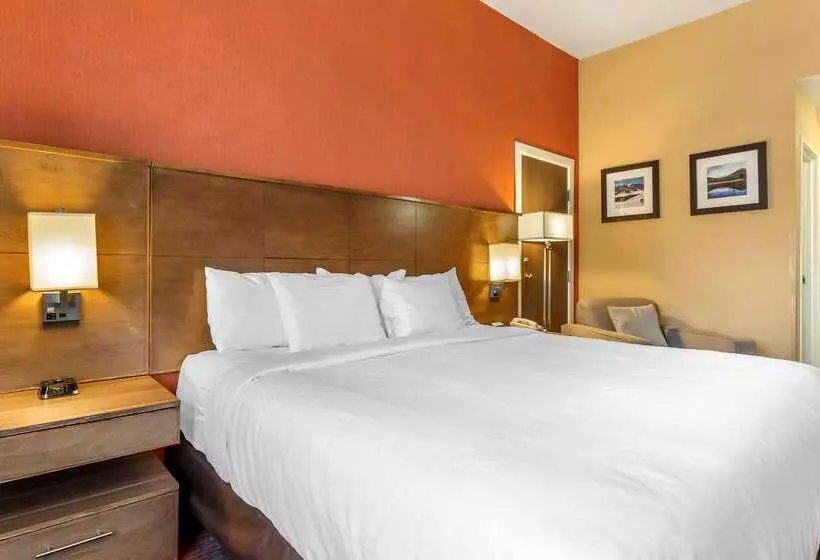 酒店 Comfort Inn Flagstaff Lucky Lane I 40