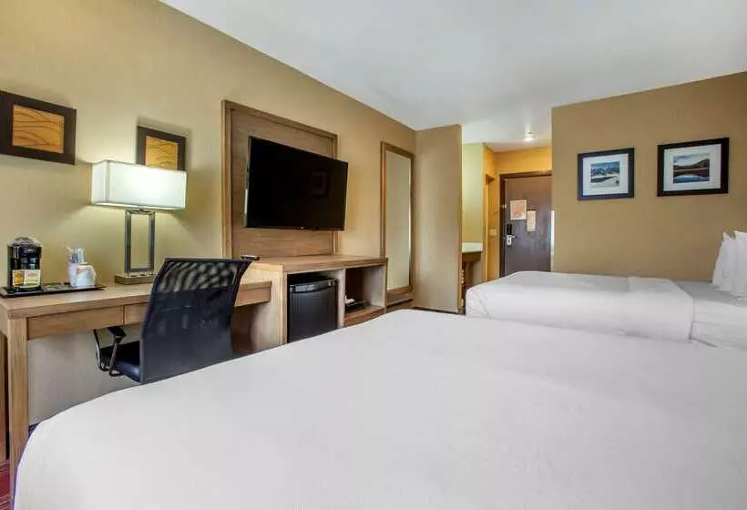 酒店 Comfort Inn Flagstaff Lucky Lane I 40