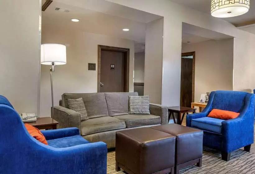 酒店 Comfort Inn Flagstaff Lucky Lane I 40