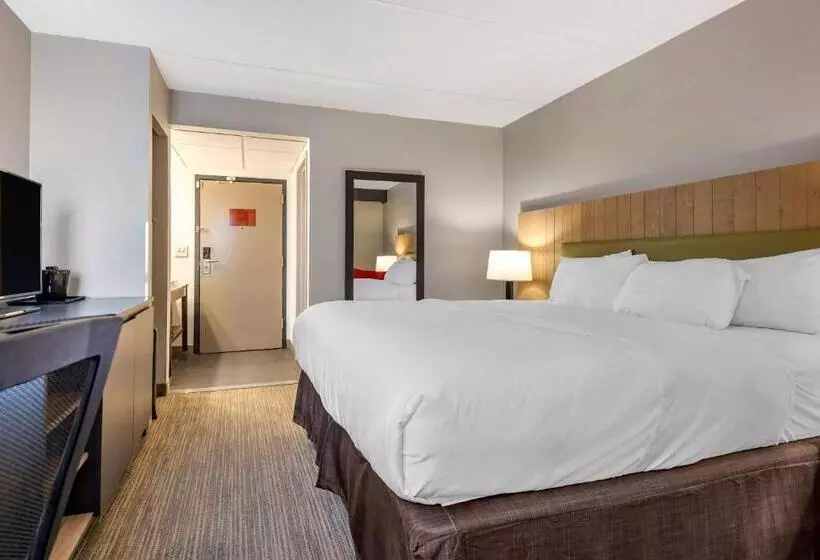 酒店 Comfort Inn & Suites