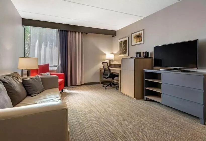 酒店 Comfort Inn & Suites